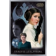 Star Wars: Saga - Princess Leia - Memory Wall Poster, 22.375" x 34", Framed