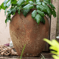 thumbnail image 5 of Distressed Cement Plant Pot, 5 of 14