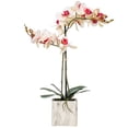thumbnail image 1 of Flor artificial Vickerman Everyday 22 Phalaenopsis, color rosa y blanco, 1 of 6