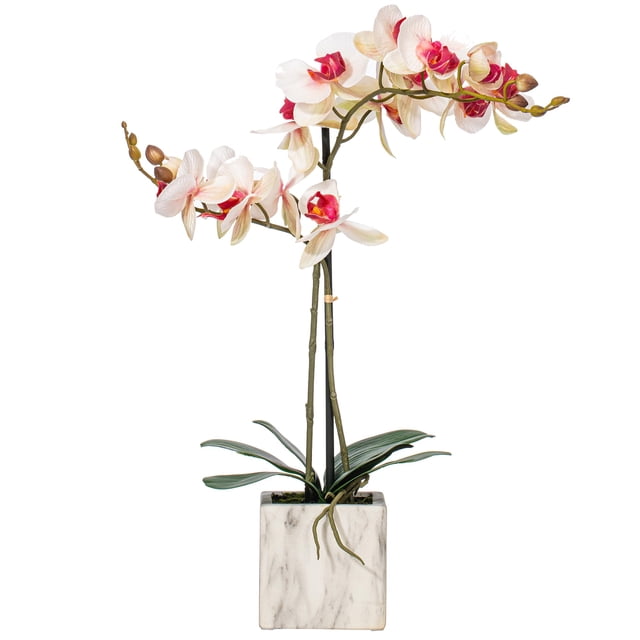 Flor artificial Vickerman Everyday 22 Phalaenopsis, color rosa y blanco