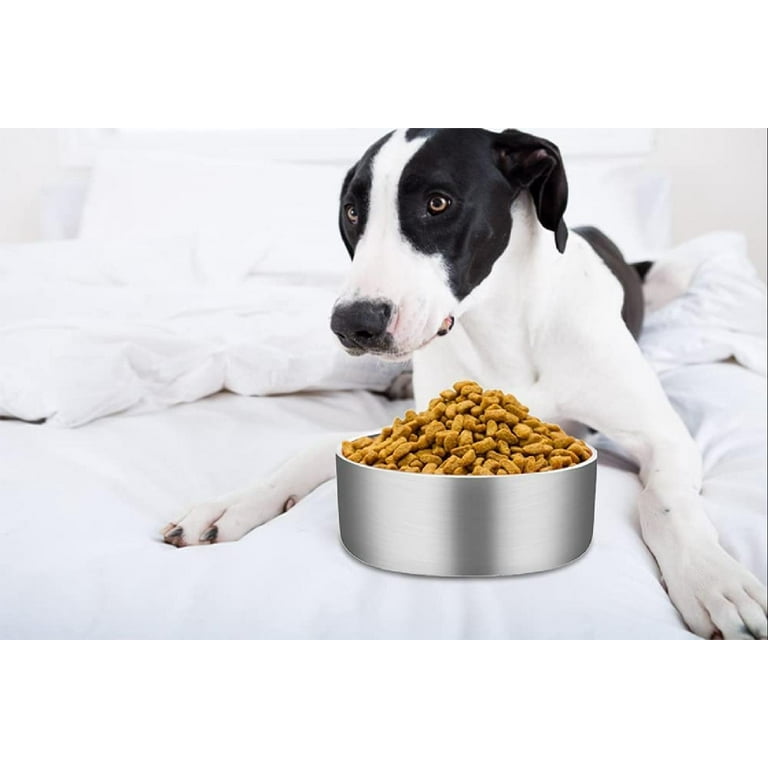 Walmart dog clearance dishes