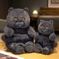 thumbnail image 2 of Fat Cat Plush Stuffed Animals Toy Lifelike Black Cat Toy for Boys and Girls Children Xmas Birthday Gift, 2 of 6