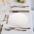 thumbnail image 2 of Zonh 6pcs Woven Round Placemats Braided PP Table Mat Non-Plastic White, 2 of 5