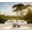 Color 3, variant on Wallpaper Green Forest Flowing Waterfalls Sunlight Vintage Peel and Stick Wall Murals 100"H x 144"W Removable PVC Wall Paper Self-Adhesive Wall Paintings Art Decor for Bedroom Living Room