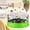 Green, variant on Fly Trap Device Indoor Outdoor Automatic Fly Pest Catcher Killer For Home Kitchen Garden Patio Hotel,6.1*3 Inch.