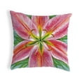 thumbnail image 2 of Betsy Drake KS701 12 x 12 in. Pink Lily Small No-Cord Pillow, 2 of 2
