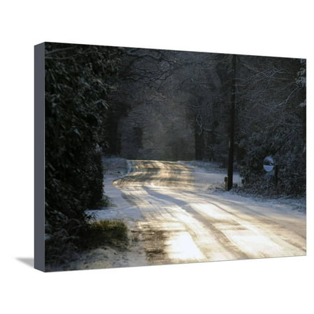 Sun glinting off an icy road in the New Forest 2009 Stretched Canvas Print Wall