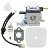 HIPA Carburetor for Echo TC-2100 TC-210i TC-210 SV-4B Tiller Cultivator 12520013124