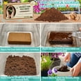 thumbnail image 4 of Legigo 10 Pack Premium Coco Coir Brick for Plants- 100% Organic Compressed Coconut Coir Bricks Starting Mix, Coco Coir Fiber Coconut Husk for Planting, Gardening, Potting Soil Substrate, Herbs, 4 of 7