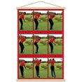 thumbnail image 1 of Tiger Woods - Conduire, 1 of 5