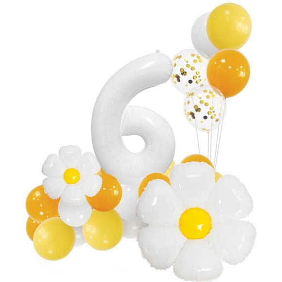 Set de decoración de fiesta para el sexto cumpleaños de Daisy con globo número 6