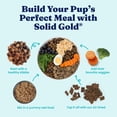 thumbnail image 3 of Solid Gold Hund N Flocken Nutrient Boost Lamb, 12.5oz Can (Case of 6), 3 of 9