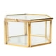 thumbnail image 3 of Caja de joyería de terrario geométrico de Metal de cristal hexagonal de 2 piezas Decoración de compromiso perfecl Terrario geométrico moderno, 3 of 8