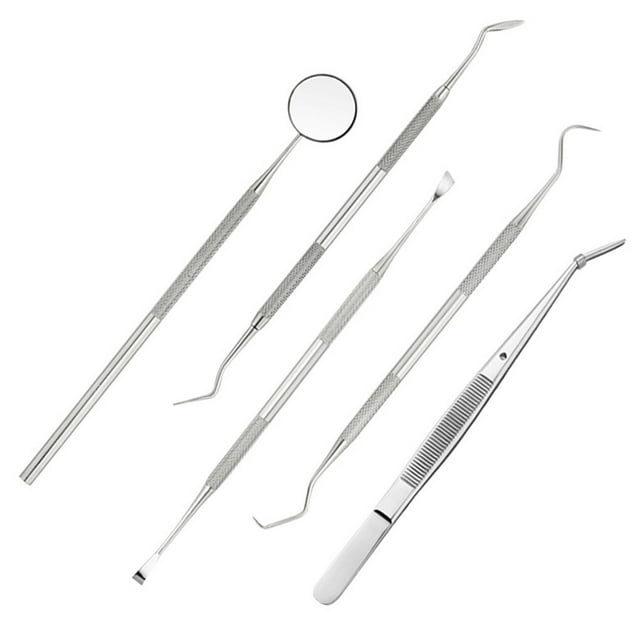 Vogacara Juego de espejos bucales Kit de removedor de placa de acero inoxidable Herramientas de limpieza de portátiles, 5 piezas Type2 NO2