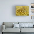 thumbnail image 2 of Van Gogh 'Quinces Lemons Pears And Grapes' Canvas Art, 2 of 4