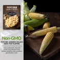 thumbnail image 2 of 5 Packs Japanese Hulless Popcorn Seeds - Non-GMO Heirloom Full Sun Annual Vegetable, 2 of 7