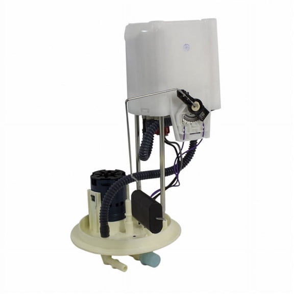 SENDERANDPUMPASY (P)