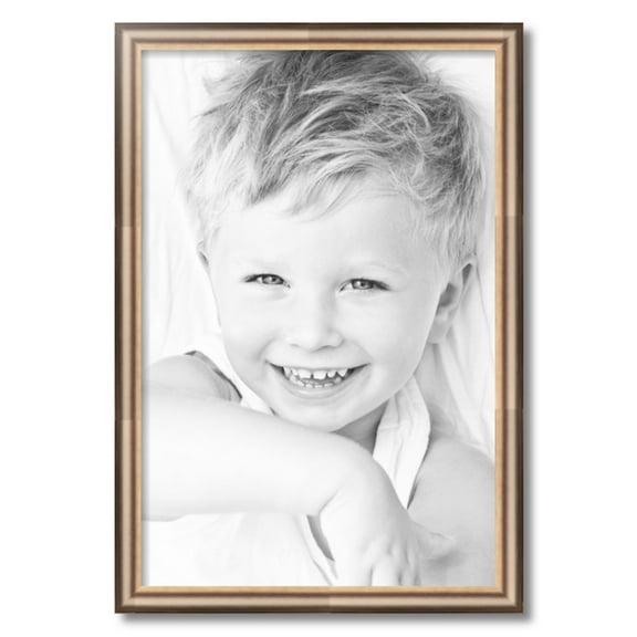 ArtToFrames 18x27" Anique Silver Picture Frame, Silver Wood Poster Frame, with Regular Acrylic and 2 (FBPL-4964)