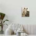 thumbnail image 2 of Stupell Industries Rustic Sepia tone Portrait of White Horse,10 x 15,Designed by Suzanne Foschino, 2 of 6