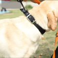 thumbnail image 4 of 1 collar para perro (S, negro), cómodo collar para perro ajustable con hebilla fácil, collar acolchado de nailon resistente para cachorros y mascotas ER, 4 of 5
