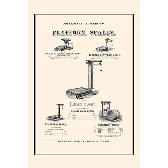 Platform Scales-Fine Art Canvas Print (20" x 30")