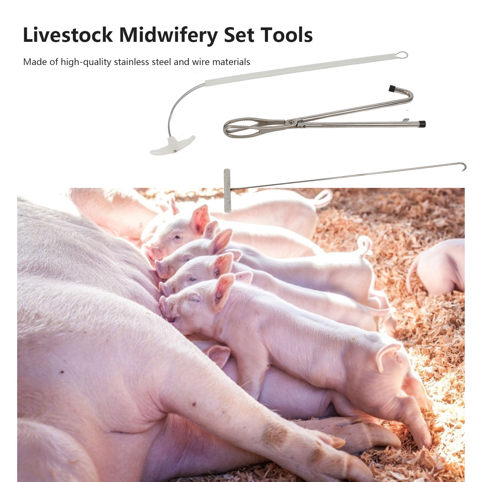 Swine Midwifery Set Tools Stainless Steel Livestock Swine Midwifery Rope Pliers Hook