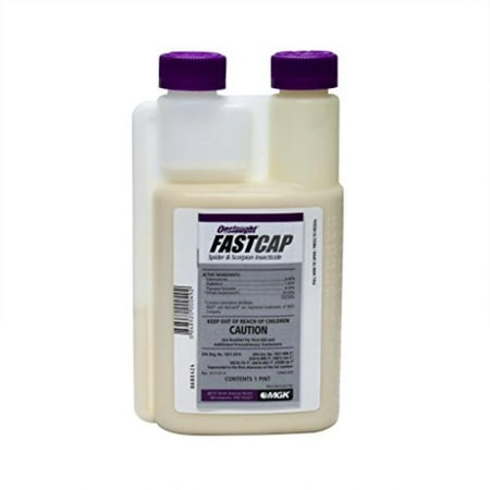Onslaught FastCap Spider and Scorpion Insecticide MGK Insecticide (Best Insecticide For Spiders Outdoors)