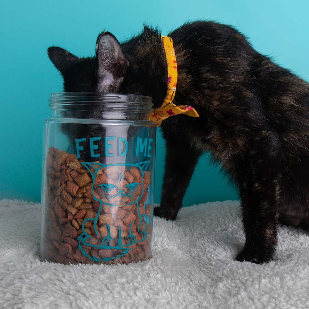 Fancy Feast Appetizers Wet Cat Food Variety - 3 flavors - 2 each: Ocean Fish, Salmon, Tuna (1.1 oz.) + MerlinsMart Zine | Catnip Toy