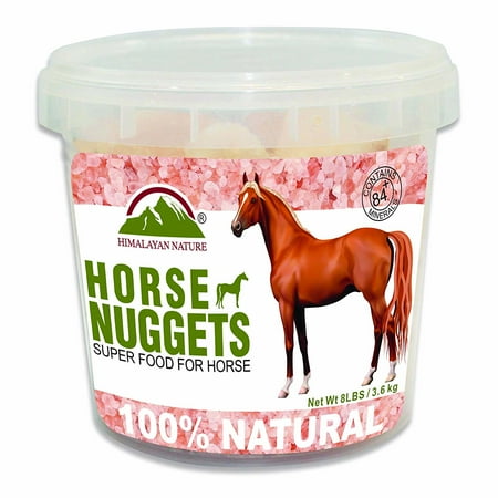 Himalayan Nature Horse Rock Mineral Salt Chunks Bucket 8 lbs by WBM