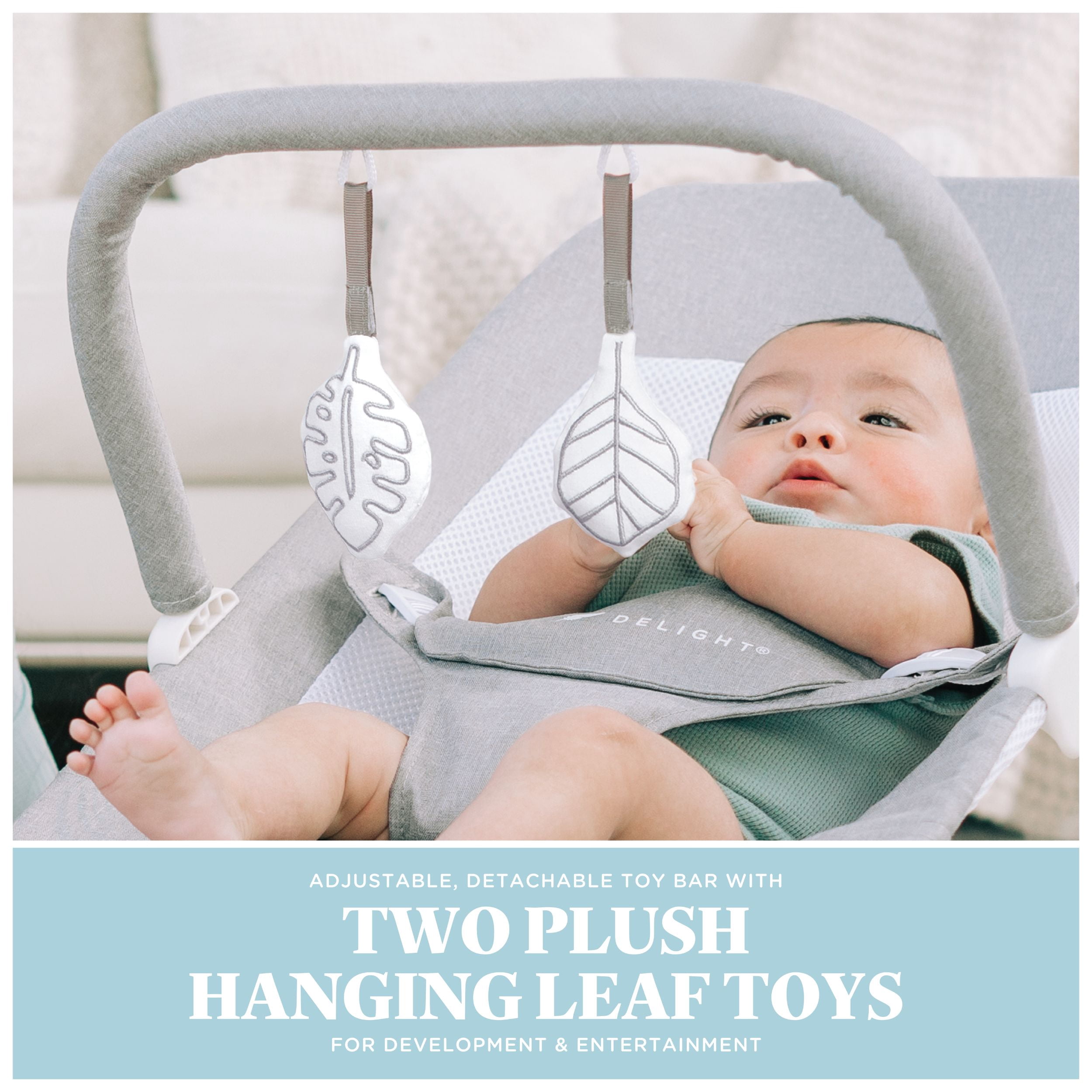Baby Delight Highland Portable Baby Bouncer, 3-Position, Infants 0-6 Months, Pebble Grey (Unisex)