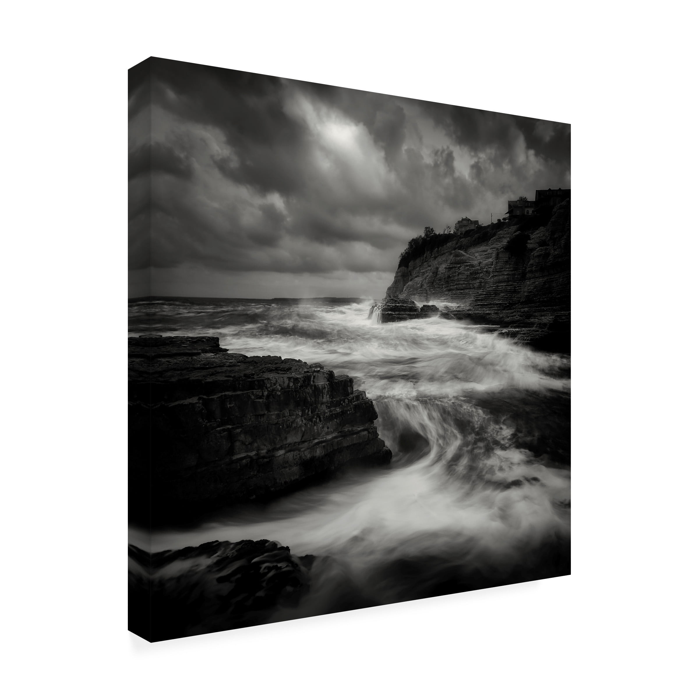 Yucel Basoglu 'Storm' Canvas Art