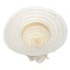 thumbnail image 4 of Gorro de Iglesia Complimentos Suave Ligera Cómoda de Llevar Duradero beige, 4 of 9