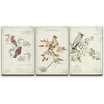 wall26 Canvas Print Wall Art Set Tropical & Forest Birds with Typography Animals Wildlife Watercolor Modern Art Rustic Colorful Multicolor Pastel for Living Room, Bedroom, Office - 16"x24&qu