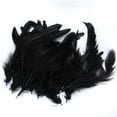 thumbnail image 2 of 50Piece Black Feather Wedding Clothing Decoration For Craft DIY, 2 of 8