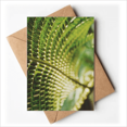 thumbnail image 1 of photography picture nature Greeting Cards You are Invited Invitations, 1 of 3