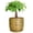 Gold, variant on Ceramic Planter 7 Inch - Cylinder Round Modern Indoor Plant Pot for Plants with Drainage Hole and Saucer, Room Home Patio Office Patio Decor, Black
