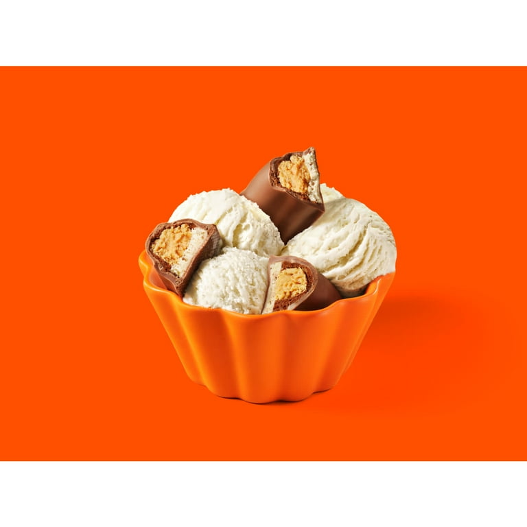 Reese's Fast Break Milk Chocolate Peanut Butter Nougat King Size