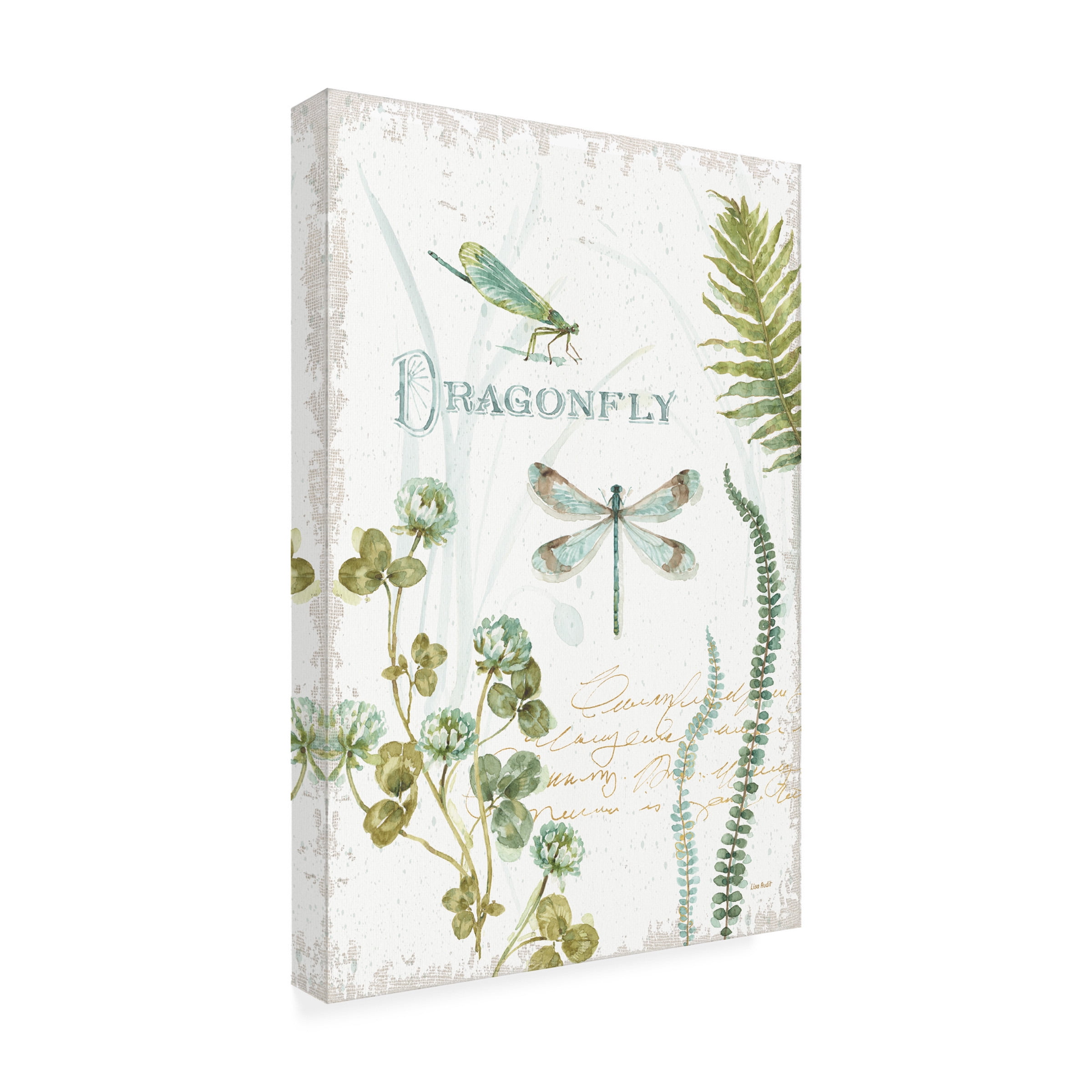 Lisa Audit 'My Greenhouse Botanical Dragonfly' Canvas Art
