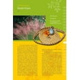 thumbnail image 3 of Coastal Garden Plants: Florida to Virginia, (Paperback), 3 of 4