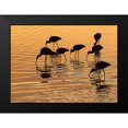 thumbnail image 2 of Turek, Eve 18x14 Black Modern Framed Museum Art Print Titled - Ibis Sunset, 2 of 5