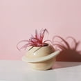 thumbnail image 7 of SPRING PARK Mini Succulent Planter Glazed Ceramic Miniature Flower Pot Bonsai yard Decor, 7 of 7