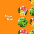 thumbnail image 3 of Eo Products Citrus and Mint Everyone Loción (1x32 Oz), 3 of 5