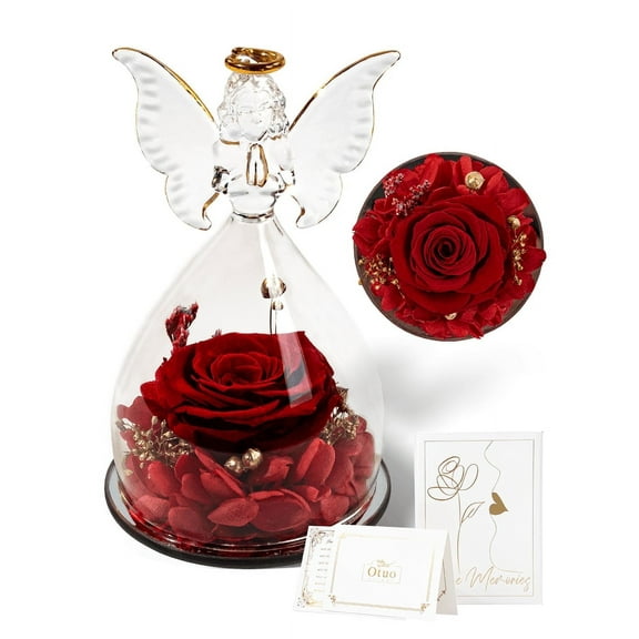 Otuo Preserved Flower Rose Gift in Glass of Angle, 【Medium Size】 Eternal Flower Rose Present for Mothers Day, Angel Rose Gifts for Her, Grandma, Wife, Girlfriend (Red)