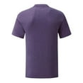 thumbnail image 2 of Fruit Of The Loom Mens Iconic 150 T-Shirt, 2 of 3
