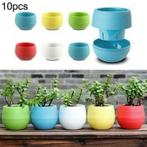 Versatile Mini Plant Flower Pot for Planting and Decoration Pack of 10