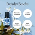 thumbnail image 2 of Edens Garden Jasmine Essential Oil Blend – 100% Pure Premium Grade, Natural & Synthetic-Free, Undiluted for Hair Care, Home Diffusers, Skin, Aromatherapy, Massage & Humidifiers 10 ml (.33 fl oz), 2 of 9