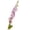 C, variant on FTsdfkl 1PC Artificial Delphinium Larkspur Stems, 33.4Inch Realistic Blue Flowers, Long Stem Delphinium for Wedding, Home Decor, Floral Arrangements