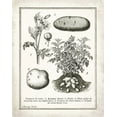 thumbnail image 2 of Babbitt, Gwendolyn 20x24 Black Ornate Wood Framed with Double Matting Museum Art Print Titled - French Potatoes, 2 of 4