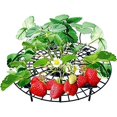 thumbnail image 3 of 3 x marco para plantar fresas Soporte para fresas para repeler los caracoles Rejilla protectora para evitar que las fresas se pudran bajo la lluvia, 3 of 5