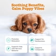 thumbnail image 3 of Zesty Paws Puppy Calming Bites Turkey Flavor Dog Supplement, 60 Count, 3 of 13
